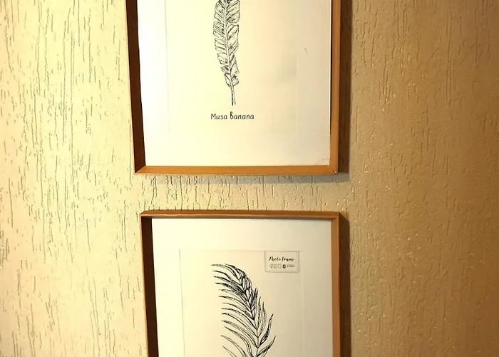 Elyne Quartier Des Templiers A 400m De La Daire *